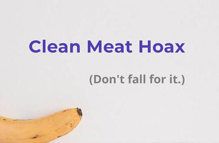 Clean Meat Hoax Pic